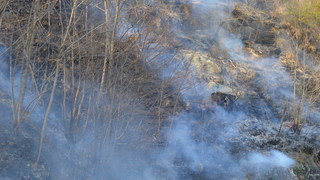 Rm cavigliano 18.03.2014 06