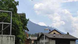  dsc0086