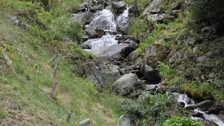  dsc0093
