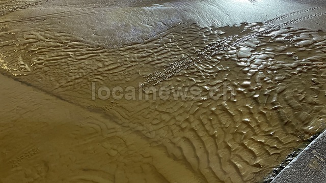 Img 0952