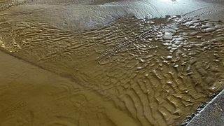 Img 0952