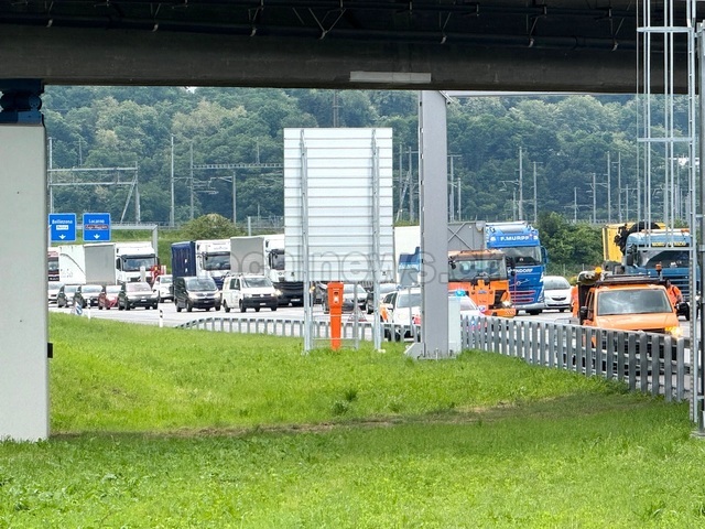 Img 8494