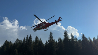 Img 0047