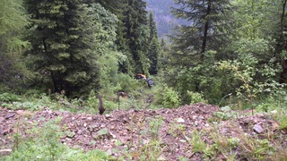 Dsc 0015