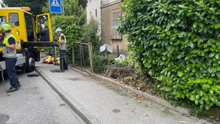 Img 1285