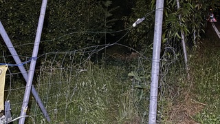 Img 1436