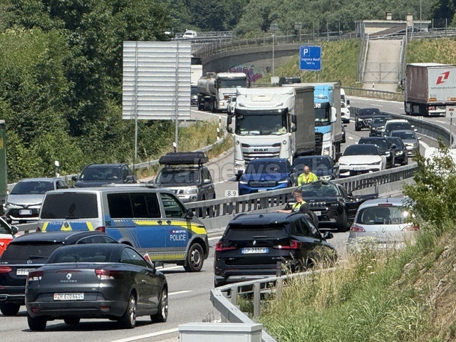 Img 0415