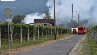 Dsc 0032
