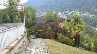 Dsc 0008
