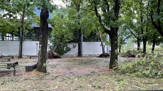 Img 1621