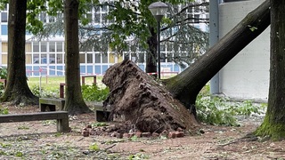 Img 1626