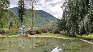 Img 1630