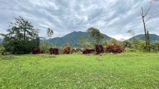 Img 1636