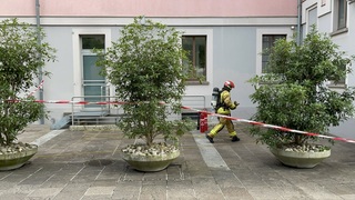 Img 1669