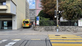 Img 1649