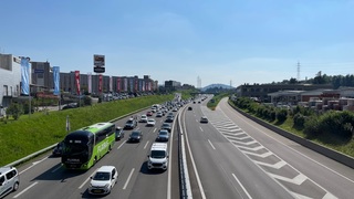 Img 1844