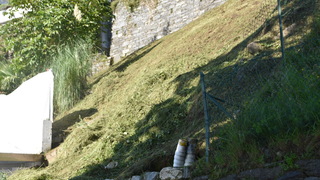 Dsc 0081