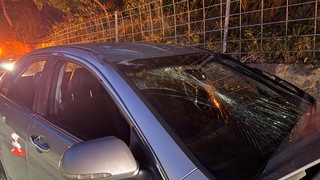 410331ee e61a 42db bf60 1a15a880be89