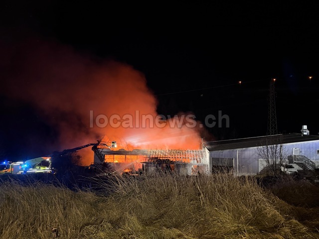 6eff67b4 5047 4624 9c05 a6f11dc1b6f9