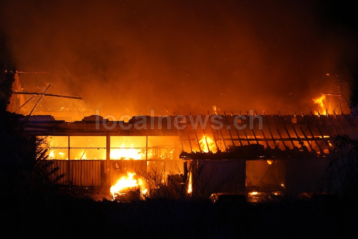 45e527d0 3086 46e0 9e7e ef01a2103c9a