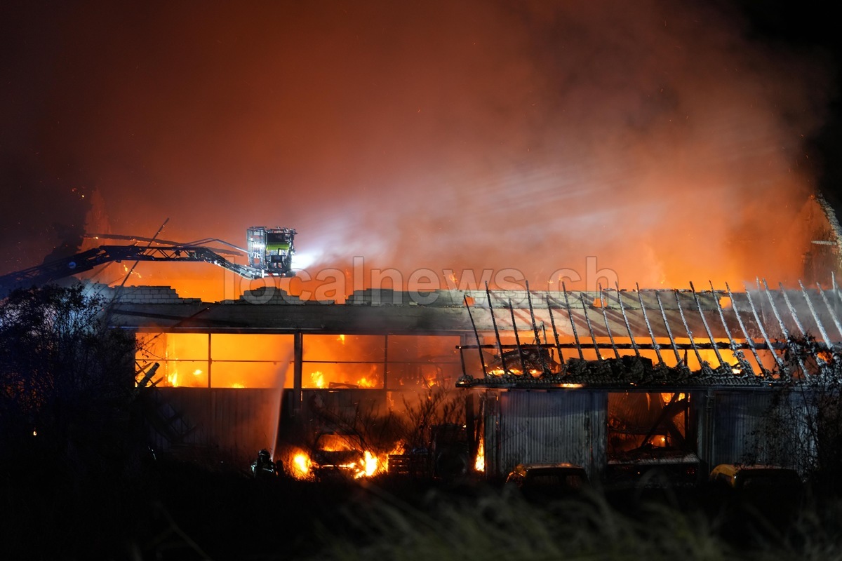 F6f36d5b 6a51 4c0a a624 3715b3ce038c