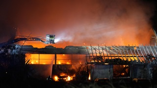 F6f36d5b 6a51 4c0a a624 3715b3ce038c