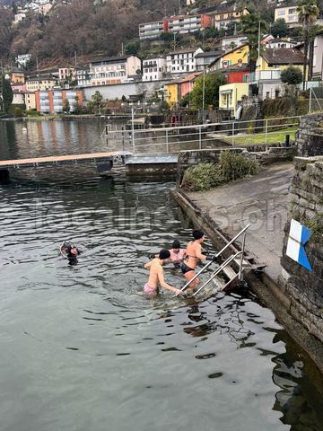 Photo 2026 01 25 15 00 20 4