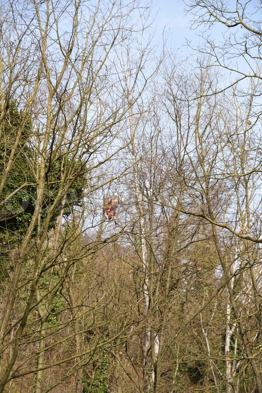 Rm mendrisio 23022026 36 copia