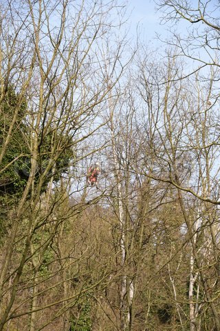 Rm mendrisio 23022026 36 copia