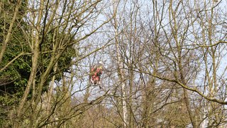 Rm mendrisio 23022026 36 copia