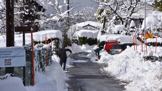 15032026 dsc 0002lut sepia ins