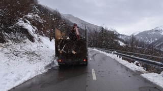 15032026 dsc 0008lut sepia ins