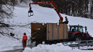 15032026 dsc 0013lut sepia ins