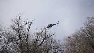 Rm capriasca lelgio 05260326 copia