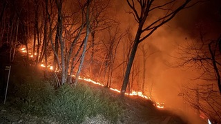 B244bc7f e51c 4df2 a193 2fc34516d369