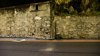 13042026 dsc 0097lut sepia ins