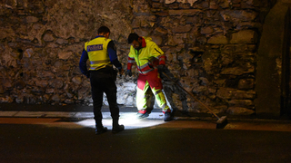 13042026 dsc 0102lut sepia ins