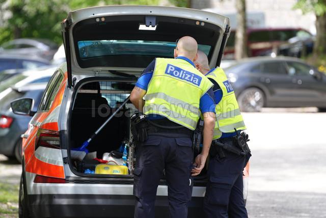 784a88af 3bd8 48c7 9d55 9606d934f160