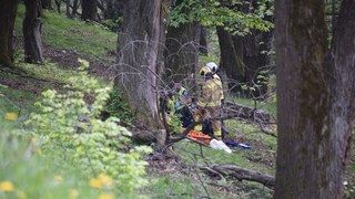 Rm aranno 02290426 copia