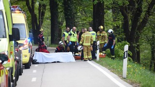 Rm aranno 13290426 copia