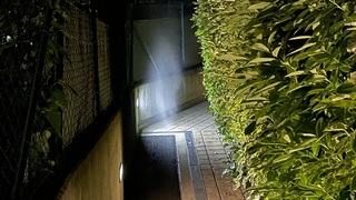 Img 3520