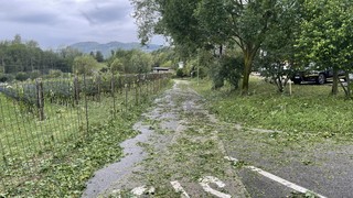 Img 3741