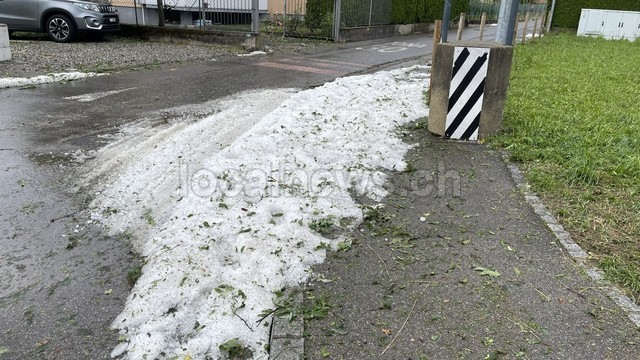 Img 3744