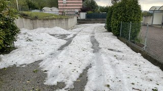Img 3771