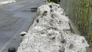 Img 3780
