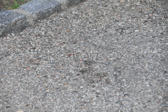 Dsc 0299