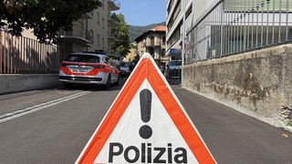 Img 6855