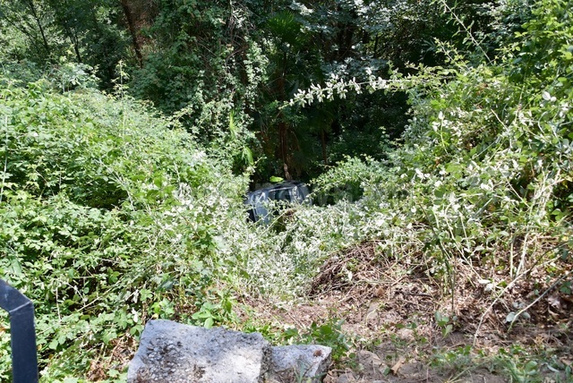 Dsc 0030