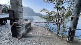 Img 3939
