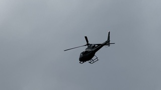 Img 9116